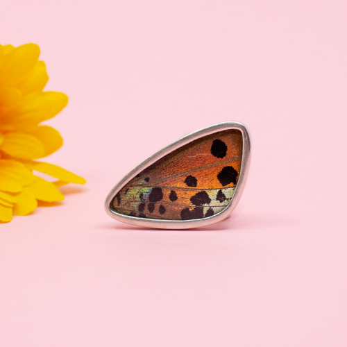 925er Schmetterling Fluegel Ring liegend