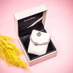 Pandora Armband - 925 Sterlingsilber - 'Capture'