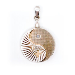 Biostabil Magnetschmuck Anhänger in 925 Silber Bio Stabil 2000 Anhänger 925 Silber Front 2