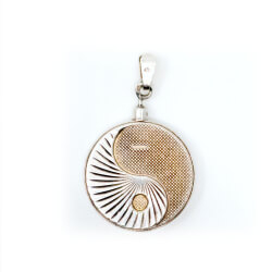 Biostabil Magnetschmuck Anhänger in 925 Silber Bild 2 Bio Stabil 2000 Anhänger 925 Silber Front