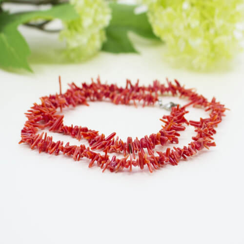 Korallenkette rot Detail