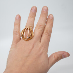 Pierre Lang RoseGold Ring Tragebeispiel