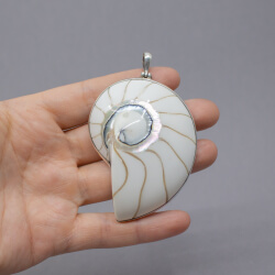 Nautilus Muschel Natur Anhänger 925 Sterlingsilber Shiva Auge mit 925er Fassung
