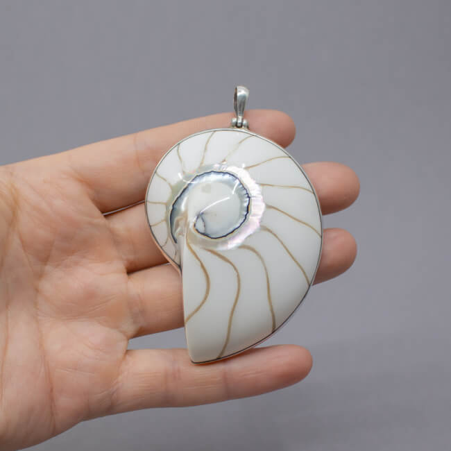 Nautilus Muschel Natur Anhänger 925 Sterlingsilber Bild 1 Shiva Auge mit 925er Fassung