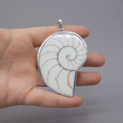 Nautilus Muschel Natur Anhänger 925 Sterlingsilber Bild 2 Shiva Auge mit 925er Fassung Front