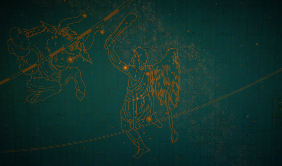 Sternbild Stier als Wandbild